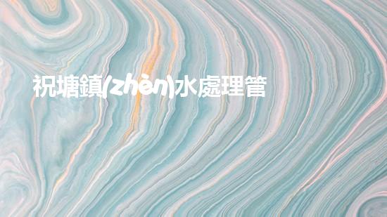 祝塘鎮(zhèn)水處理管道清淤：揭秘背后的驚人黑幕！ - 副本